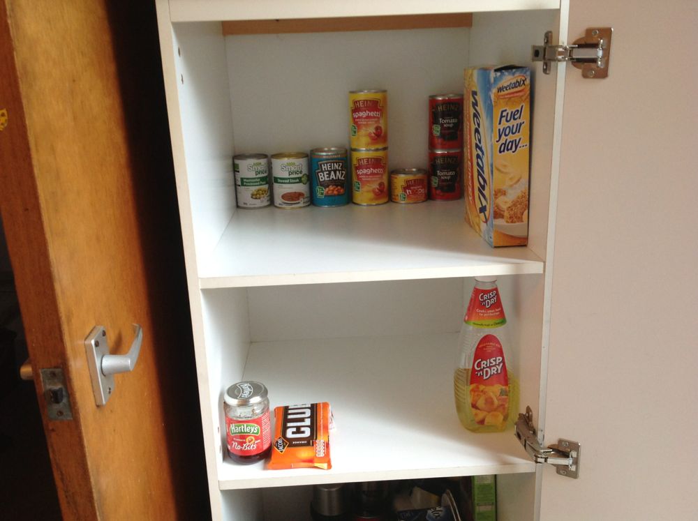 Almost empty food cupboard