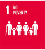 UN SDG 1